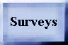 Surveys